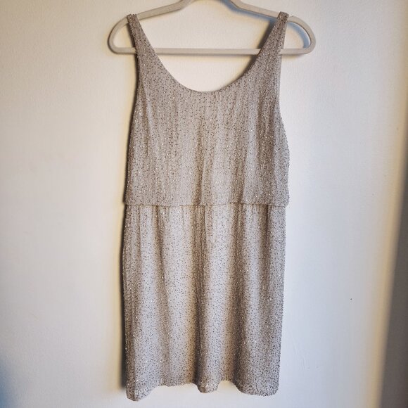 Sz4 Alice + Olivia Beaded Silk Blouson Mini Dress in Silver Gray - Picture 1 of 15